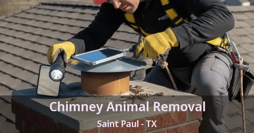 Chimney Animal Removal Saint Paul - TX