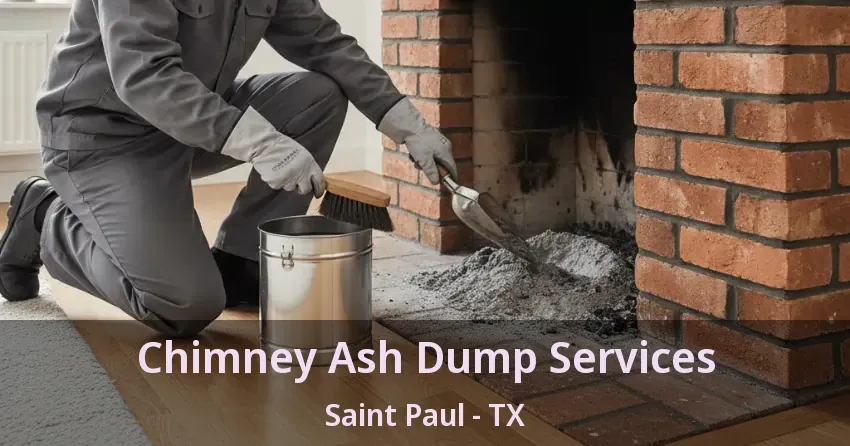 Chimney Ash Dump Services Saint Paul - TX