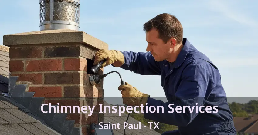 Chimney Inspection Services Saint Paul - TX