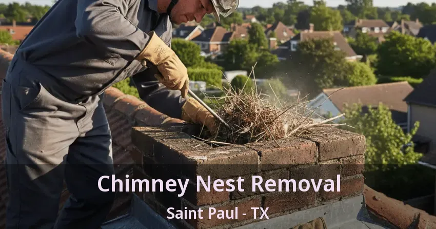 Chimney Nest Removal Saint Paul - TX