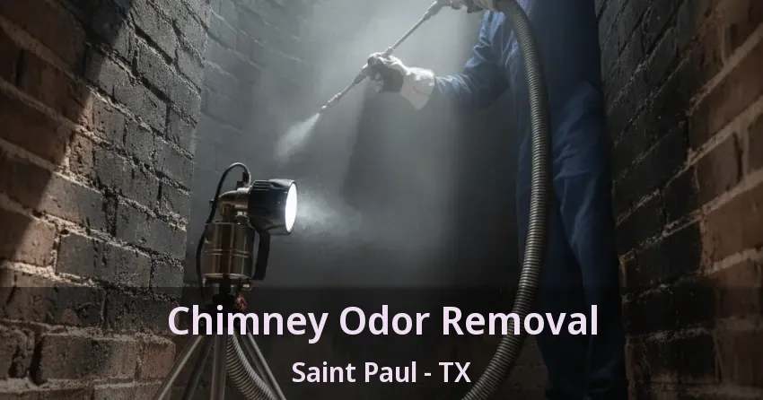 Chimney Odor Removal Saint Paul - TX Chimney Odor Removal Saint Paul - TX