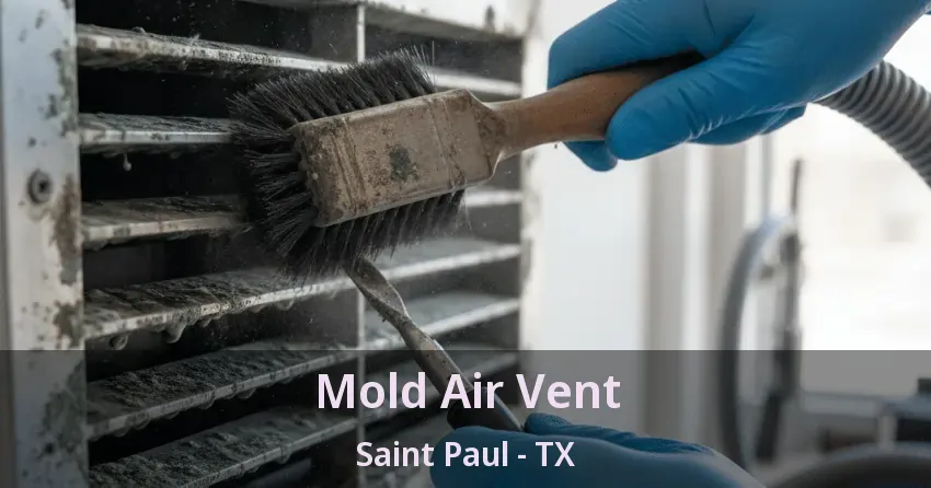 Mold Air Vent Saint Paul - TX Mold Air Vent Saint Paul - TX