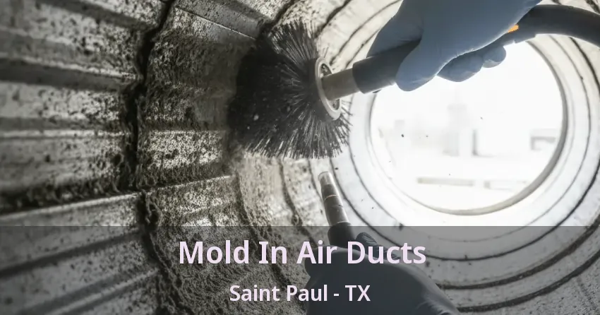 Mold In Air Ducts Saint Paul - TX