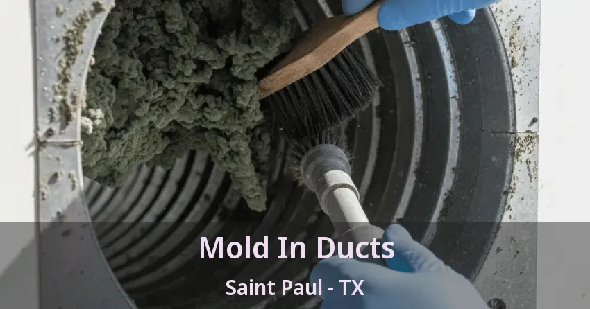 Mold In Ducts Saint Paul - TX