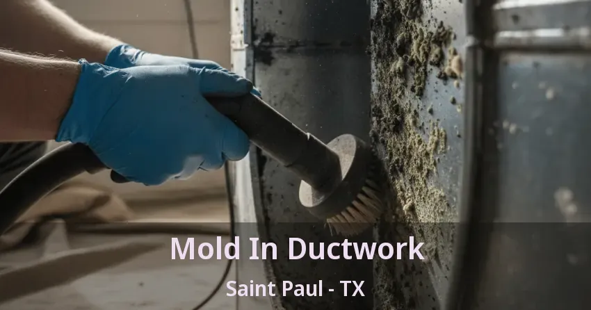 Mold In Ductwork Saint Paul - TX