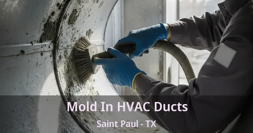 Mold In HVAC Ducts Saint Paul - TX